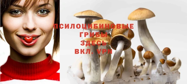 герыч Алексин