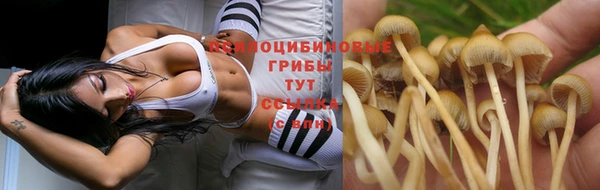 гашиш Абаза