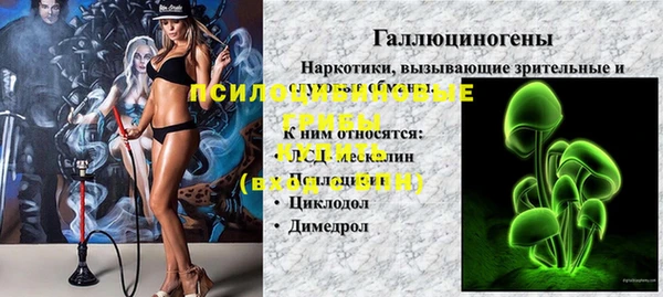 дурь Алзамай