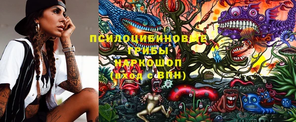 герыч Алексин